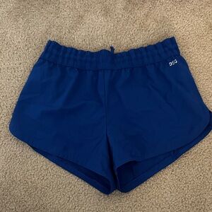 DSG Blue Athletic Shorts Performance Fit